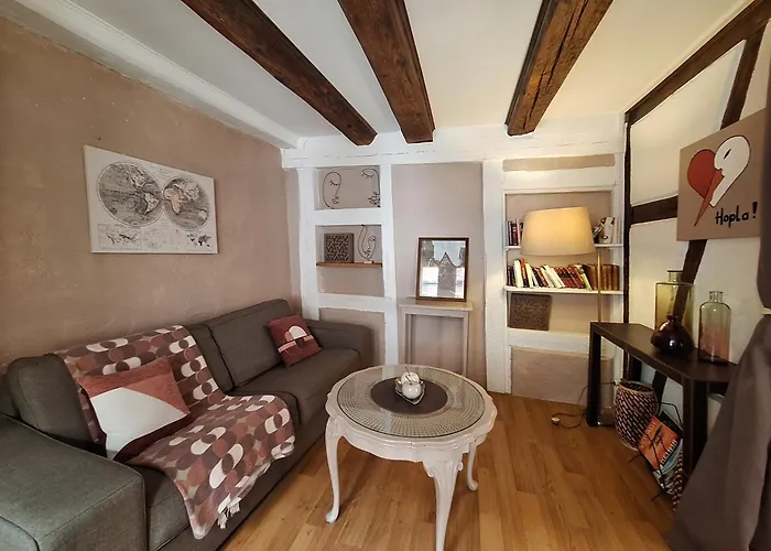 Maison Cliquot - Appartements Colmar Centre